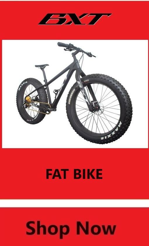 BXT FAT BIKE