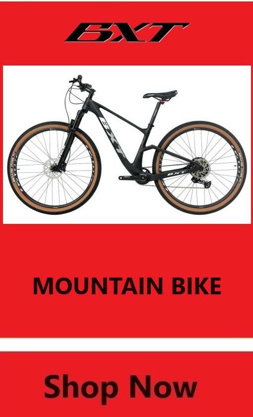 BXT MOUNTAIN BIKE